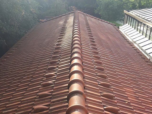 Roof Cleaning After