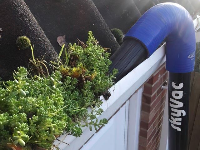 Gutter Cleaners in Lincoln