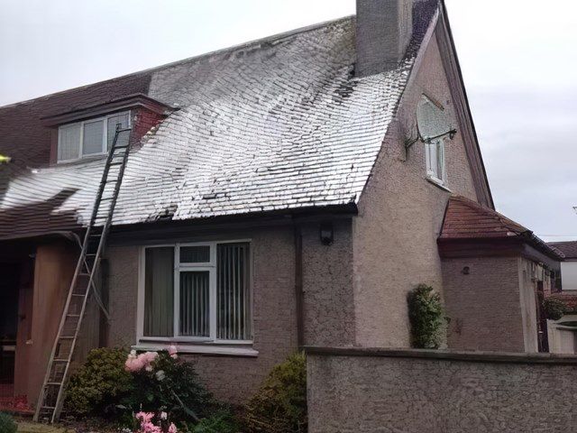 Roof Cleaning