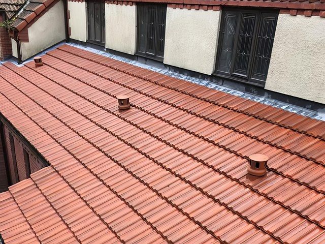 Roof Cleaning After
