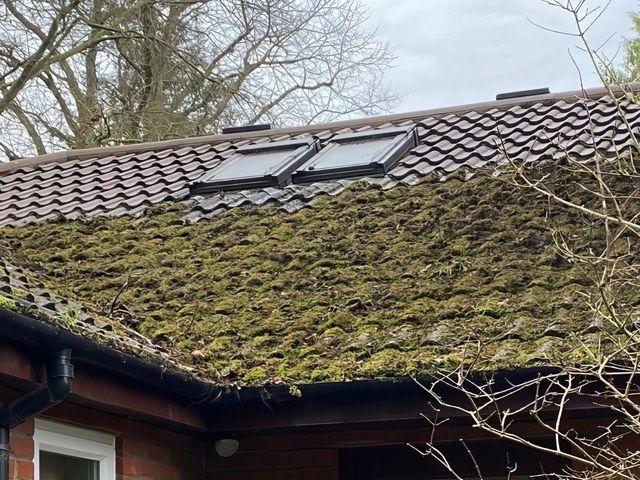 Roof Cleaning Before