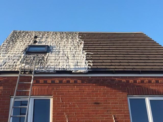 Roof Cleaning