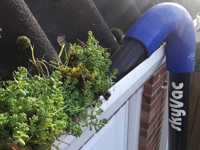 Gutter Cleaning